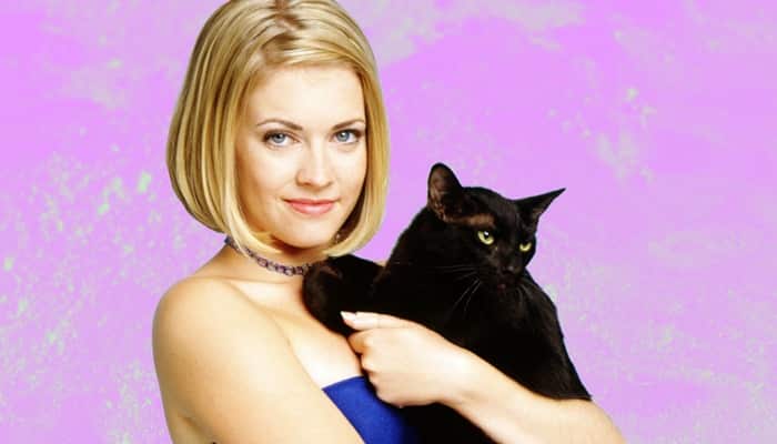 PetCenso destaca nomes de gatos inspirados em personagens famosos – Se Meu  Pet Falasse…