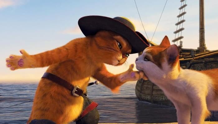 Nomes de gatos de filmes - lista completa  Nomes de gatos, Nomes de gato  macho, Nomes de animais