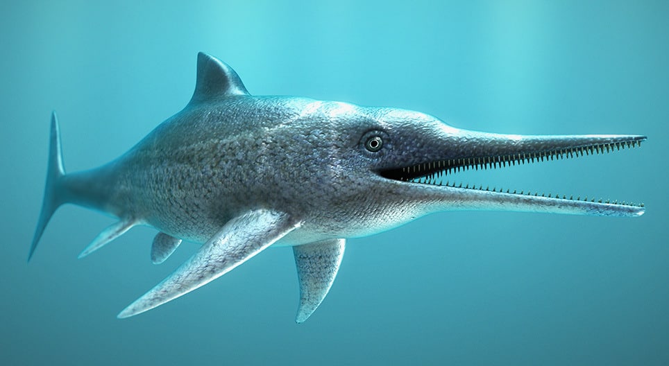 Especialistas encontram fóssil 180 milhões de anos de dragão do mar
