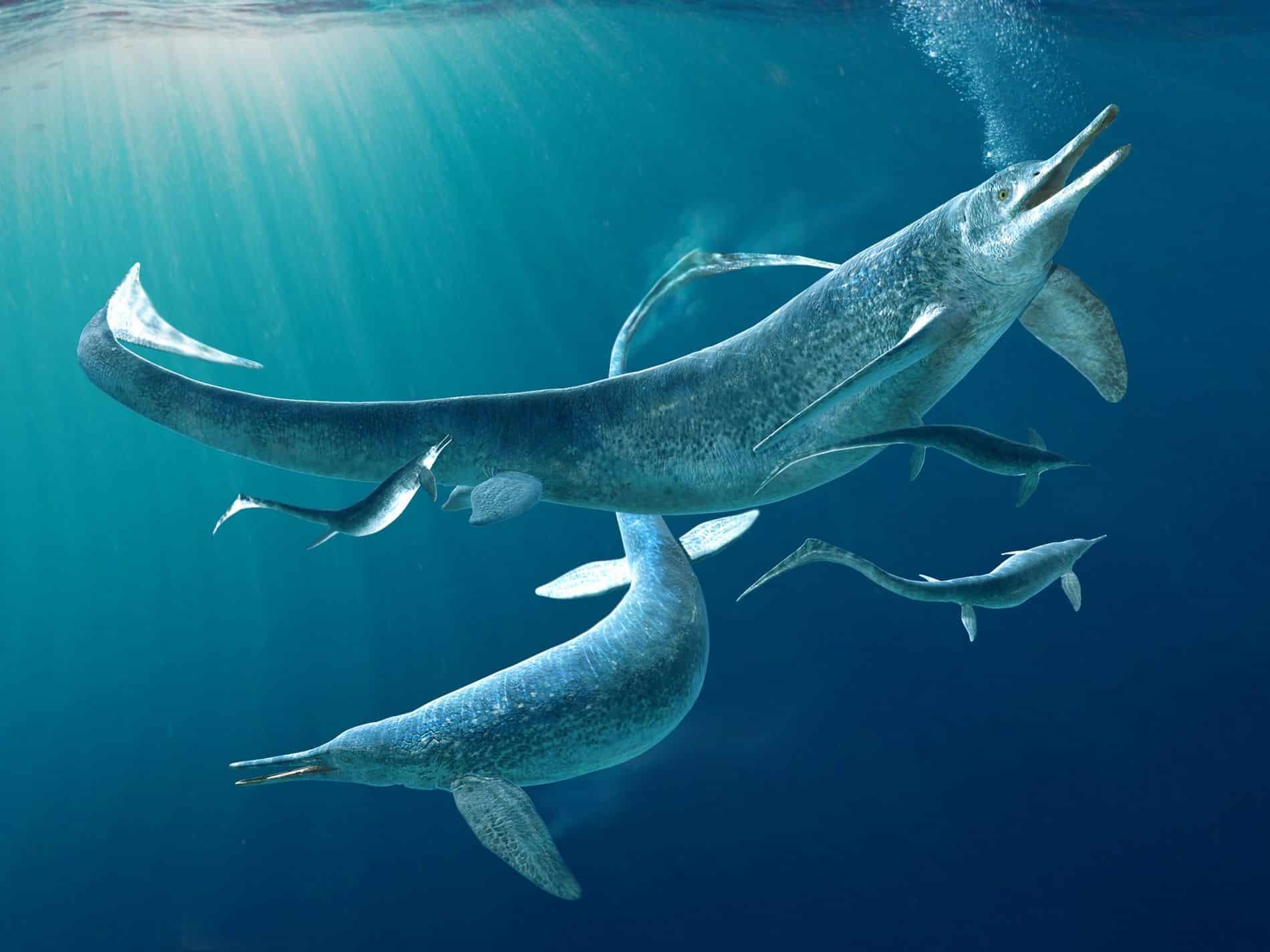 Especialistas encontram fóssil 180 milhões de anos de dragão do mar