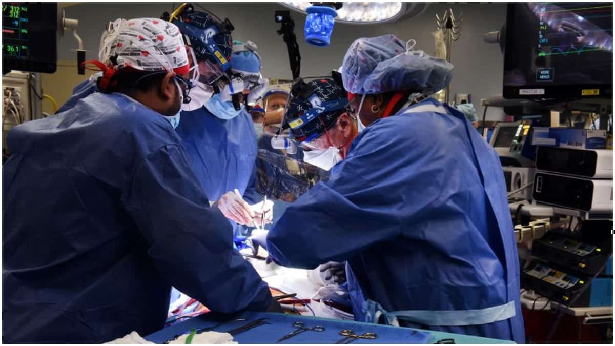 Estadunidense é o primeiro a receber um transplante de coração de porco