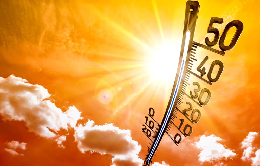 Ondas de calor na América do Sul podem chegar a quase 50 graus
