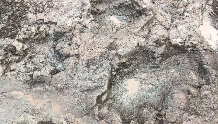 Pegadas de dinossauro são encontradas em uma praia no Reino Unido