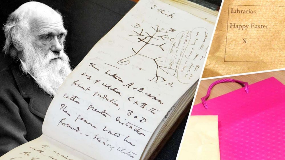 Cadernos roubados de Charles Darwin reaparecem após 22 anos