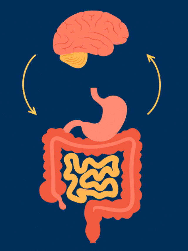 Qual é a relação entre o intestino e o cérebro?