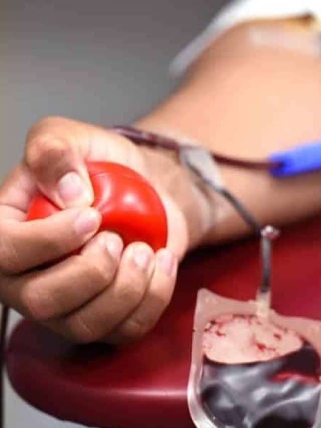 Quantos litros de sangue tem o corpo humano?