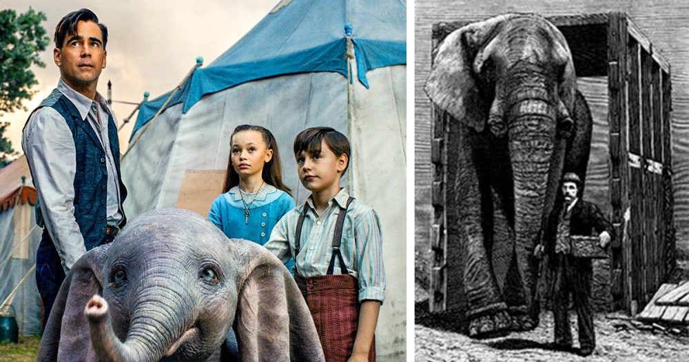 Dumbo: conheça a triste história real que inspirou o filme